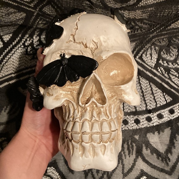 Distressed Faux Cracked Black Butterfly Resin Skull Tabletop Decor Piece - Picture 6 of 7